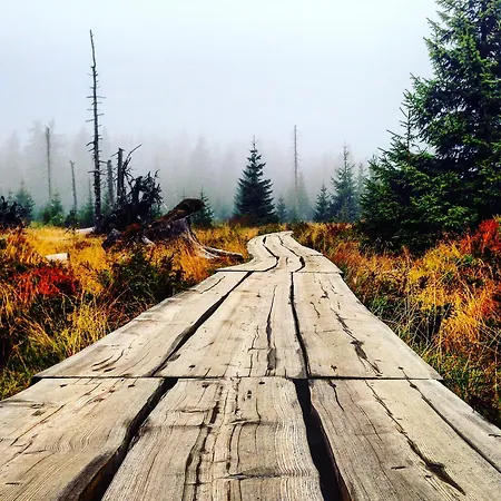 Medvedin 100 Lägenhet