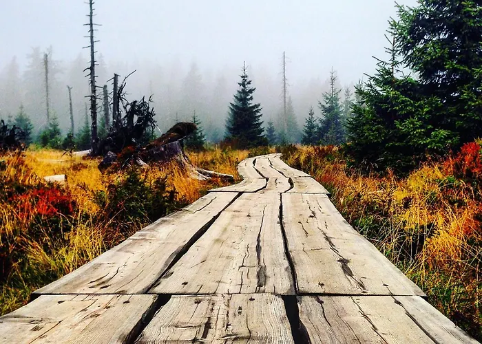 Medvedin 100 Lejlighed