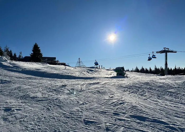 Medvedin 100 Lejlighed